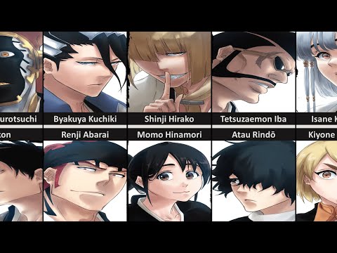 All GOTEI 13 Captains And Lieutenants After TYBW Arc in Bleach