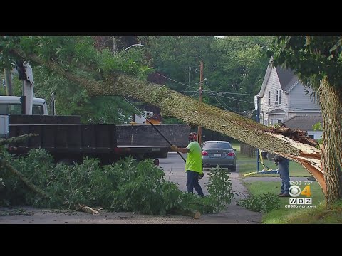 Strong Storms Cause Damage In Several Massachusetts Towns