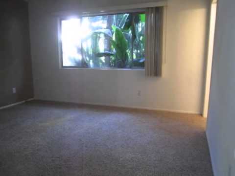 PL3364 - Beautiful Modern 2 Bed + 2 Bath Apartment for Rent! (Sherman Oaks, CA)