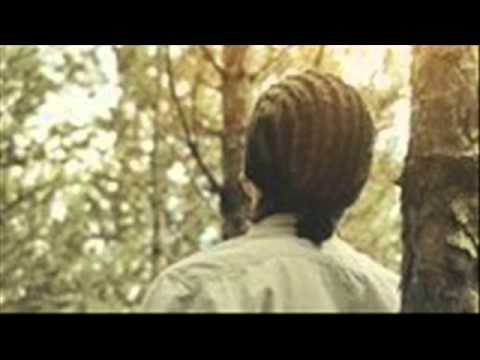 Tensioni - Qdo Mengjes (Insect Production)