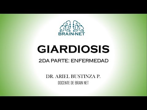 Dysbiosis of the gut
