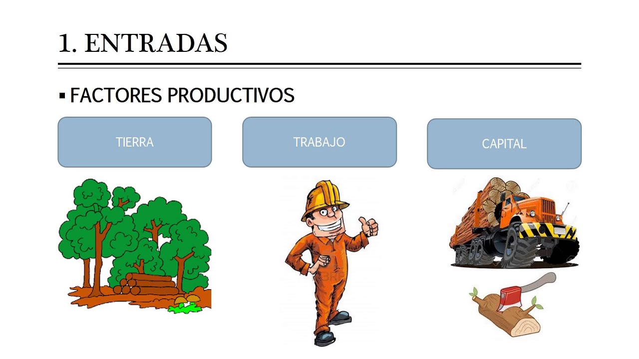 El proceso productivo