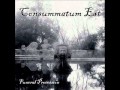 Consummatum Est - Ashes to Ashes, Dust to Dust ...