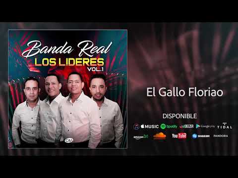 Banda Real - El Gallo Floriao