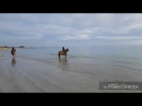 Inaya plage du 08.01.2017