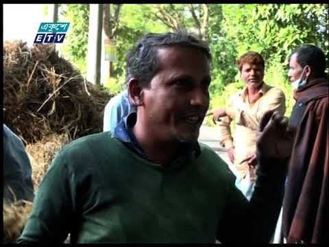 চট্টগ্রাম অঞ্চলে ধানের বাম্পার ফলন হলেও ন্যায্য দাম পাচ্ছে না কৃষক