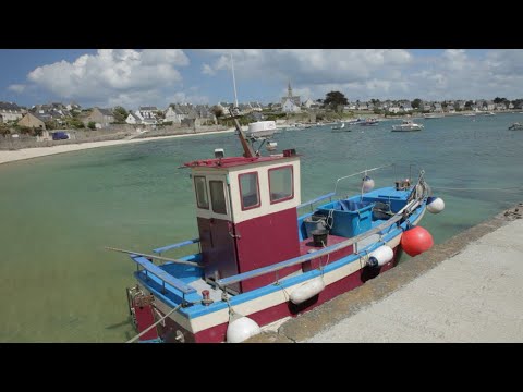 Batz, an emerald green island in France's Brittany region • FRANCE 24 English