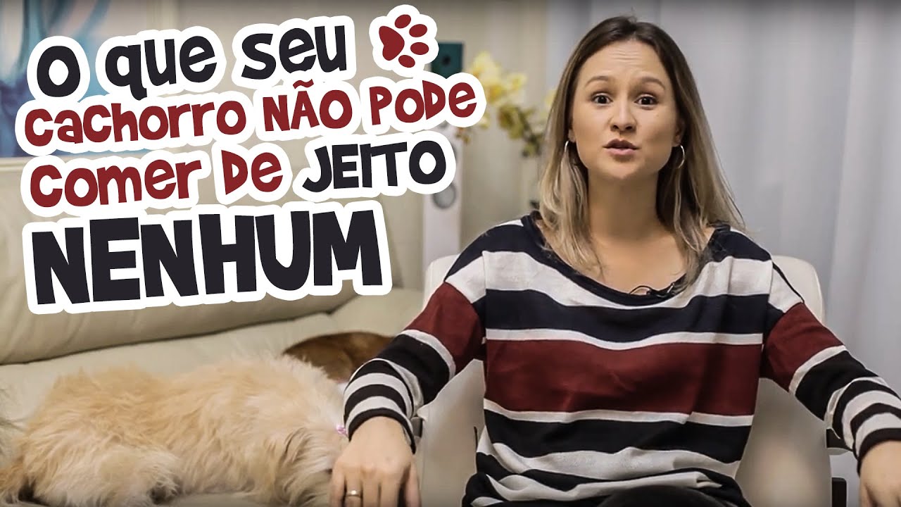 O que seu cachorro NÃO pode comer de JEITO NENHUM [Ju Almeida Pet]