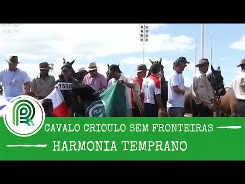 Quer saber por onde anda o cavalo Harmonia Temprano  A gente mostra