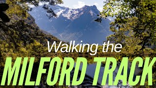Walking the Milford Track