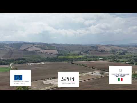 Fattoria Giuseppe Savini