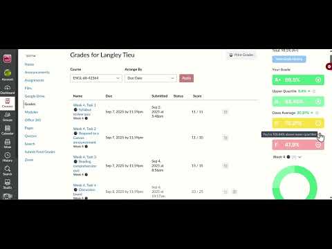 Item video thumbnail