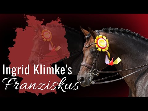 Ingrid Klimke's Franziskus 😍 | Ein einzigartiger Werdegang von einem ganz besonderen Hengst!