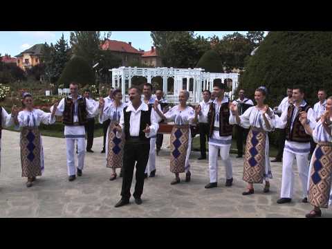 NOU - Petrica Irimica -  jocuri banat - ( Videoclip  HD ) - Eu la mandre mi-s nanas