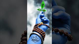 Download lagu siva layamlo ssoma varam roju e la chayandi 👍👍🪔🪔🪔🪔🪔 mp3 Download lagu siva layamlo ssoma varam roju e la chayandi 👍👍🪔🪔🪔🪔🪔 mp3
