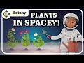 The Future Of Botany Crash Course Botany 15