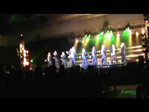 Straight No Chaser Lion Sleeps