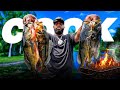 Peacock Bass Catch Clean & Cook - Fishing Urban Florida Canals!!!