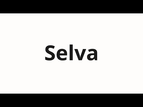 How to pronounce Selva