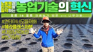 노동시간과 인건비가 절약되는 농업 기술의 혁신! 포트 in 포트 재배농가를 찾아갔습니다. (컨테이너 모듈재배…