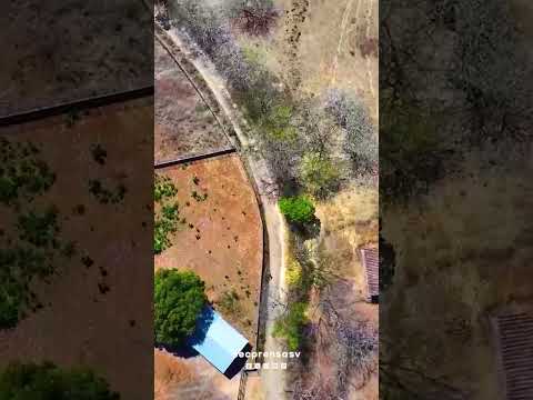 La ampliación de la calle El Sauce, en La Unión Norte, pasará de 4.5 a 10 metros y doble carril