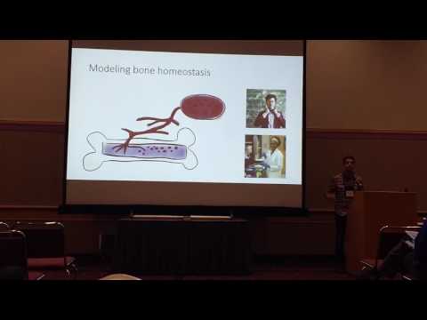 Basanta: Defining, understanding and exploiting eco-evolutionary dynamics in bone cancer