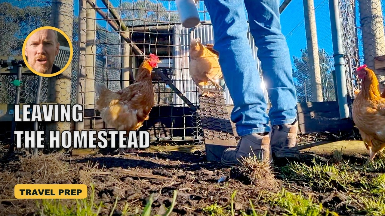Still from Growing Our Way video 7, getting the homestead ready before travel