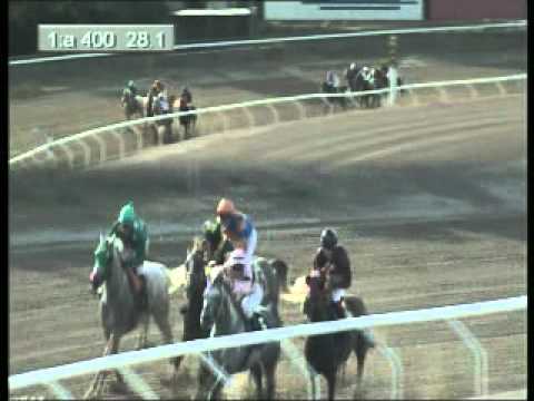 Fegentri Arab Race: Touchdown and Goodrick Race - Jägersro 15.07.2010