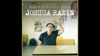 Joshua Radin-Wonderful World