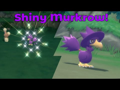 [Live] Shiny Murkrow after only 998 encounters! phase 3 [DTQ#2] [Pokemon Brilliant Diamond]