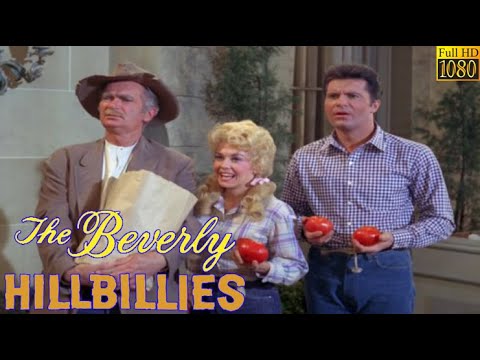The Beverly Hillbillies 🤣 The Cat Burglar 👨‍👩‍👧‍👧 Sitcom Comedy TV Series