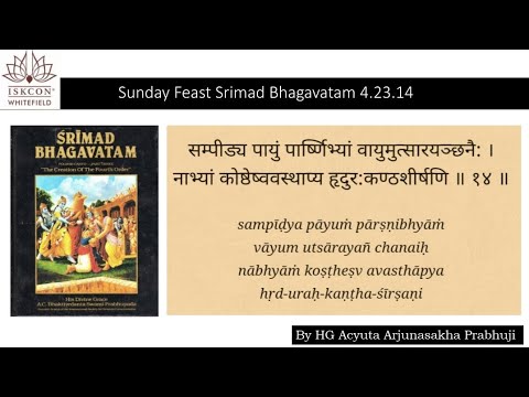 SB 4.23.14 By Hg Acyuta Arjunasakha Prabhuji