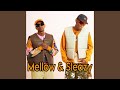Mellow & Sleazy - Thesha | amapiano song