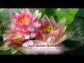 Snatam Kaur - Aad Guray Nameh - Protection Mantra with lyric