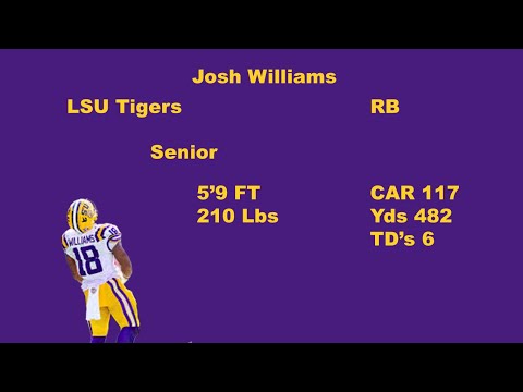 Josh Williams LSU Tigers 2024 Highlights