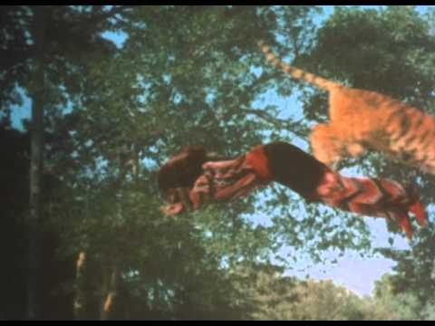 Sandokan ammazza la tigre per dimostrare il proprio coraggio a Marianna, la Perla di Labuan.