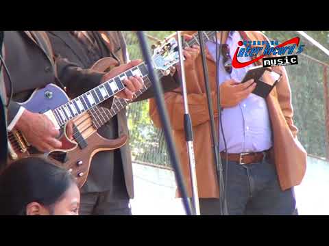 LAS GAVIOTAS  EN VIVO - LOS CAMINANTES