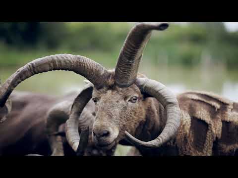 We are the Explorers