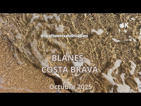 Sea Waves in Blanes | A Wonderful Day on the Costa Brava  🌊