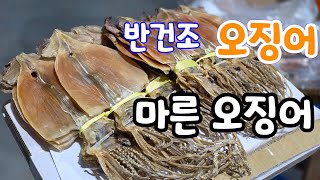 구룡포 오징어! 반건조 오징어! 싱싱한 오징어