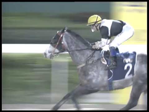 2017-12-01 Race 5(0069) - THE BELEM