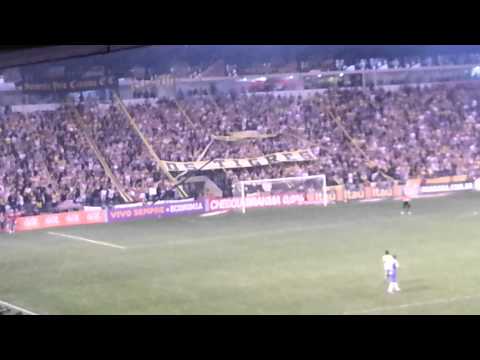 Barra Os Tigres - Criciúma x Corinthians 04/08/13