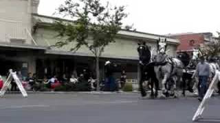 preview picture of video 'Simpson Percherons in Rio Vista Bass Festival Parade 2006'