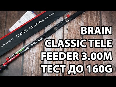 Телескопічний фідер Brain Classic Tele Feeder 3.00m, тест до 160g (+ чохол, пластиковий захист на кільця, три вершинки)