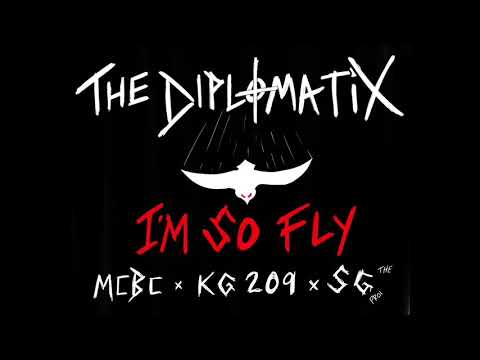 The Diplomatix - I’m so Fly
