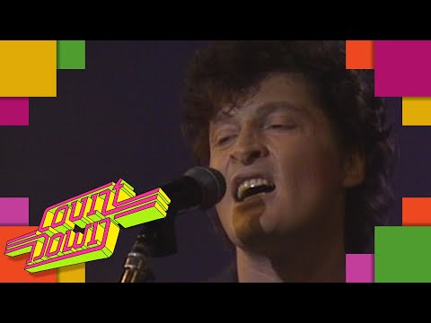 Barry Hay - Draggin' The Line | COUNTDOWN (1987)