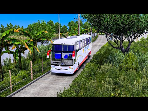 You Won't Believe the NEW Roads in This ETS2 Map Mod!