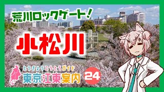 【散策 どんな街？】東京江東案内 第24回 小松川編【まゆつな空高 東京城東ご当地VTuber】