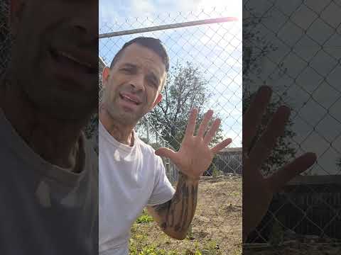 Challenging "Messy" Nature: Abuelitas & Permaculture