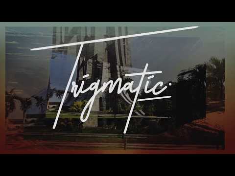 TRIGMATIC - (Osagyefo's Night Concert)
